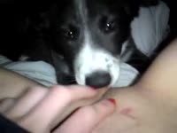 Teen enjoys getting licked by her dog's wet tongue